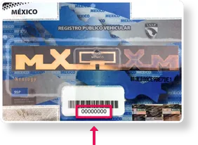 Dónde encontrar la constancia REPUVE